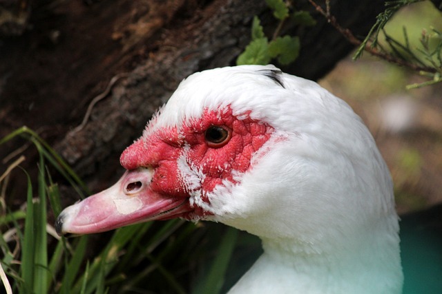 萨拉维亚：恩里克打造球队的方式非常出色，他尊重每一位球员